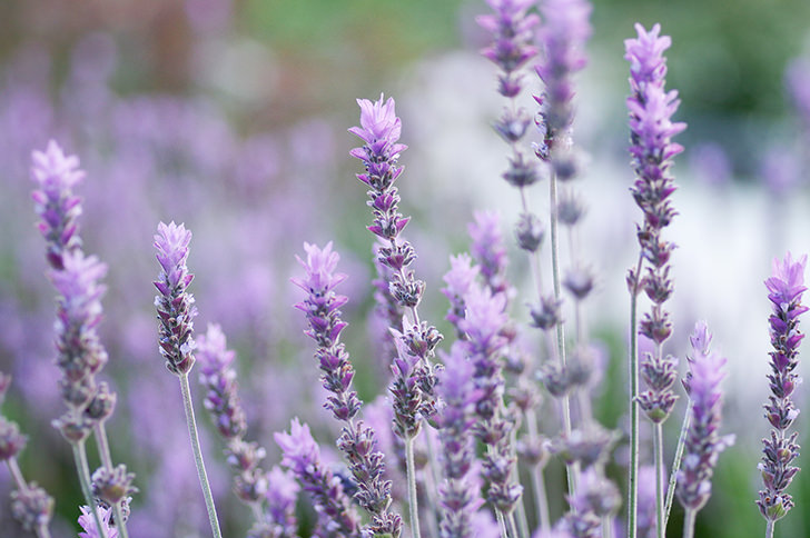 警備員の現任教育とは？どんなことをするの？