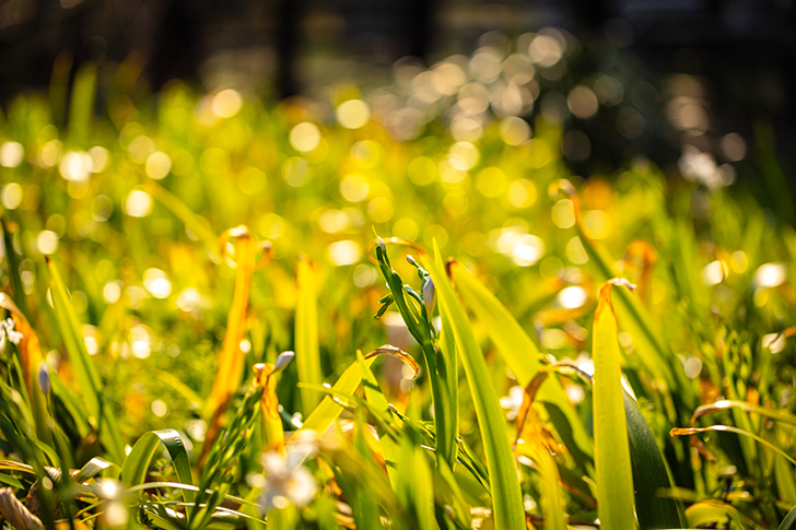 警備員指導教育責任者とは？